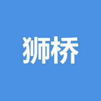 狮桥金融